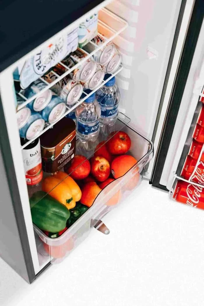 TrueFlame 21" 4.2C Deluxe Compact Fridge Left to Right Opening- TF-RFR-21D - image 4